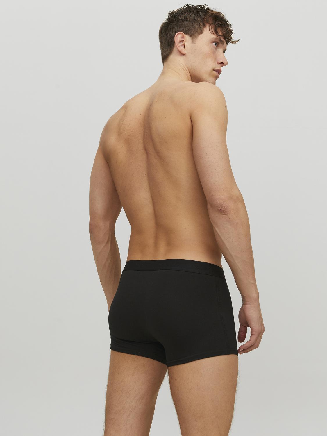 model_shot-back